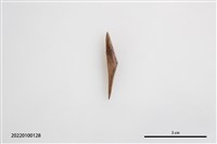 藏品(魚卡子)的圖片